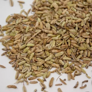 Tisanes Le Dauphin -- Fenouil fruits bio drôme Vrac (origine France) - 1 kg