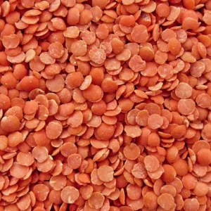 Corab Coopérative -- Lentilles corail Bio Equitables - 5 kg